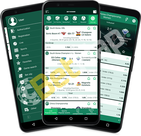 Tu guía completa sobre casa de apuestas Tu guía completa sobre casa de apuestas